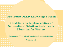 knowledge stream guidelines