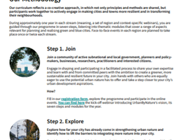 UbN Methodology Flyer Thumbnail