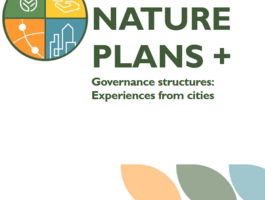 Governance Structures Experiences from cities