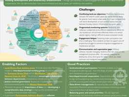 Mannheim infosheet pic