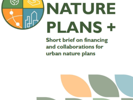 UBN short brief on financing and unp