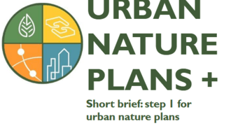 ubn logo and brief title