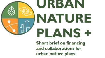 UBN short brief on financing and unp UBN short brief on financing and unp