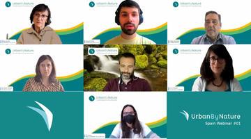 Webinar screenshot