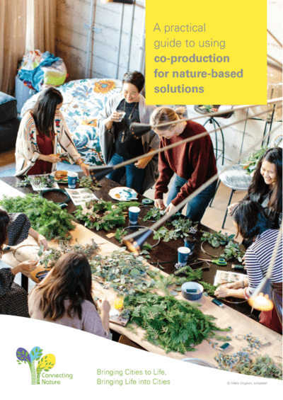 Cover page of the practical guide