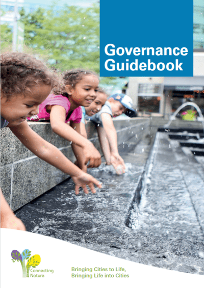 Cover page of the Governance Guidebook