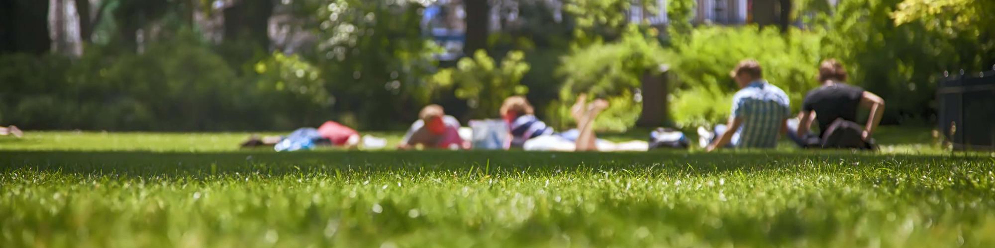 People in park