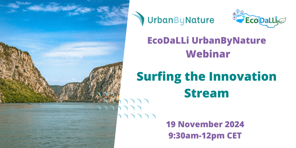 1st EcoDaLLi webinar(2).png