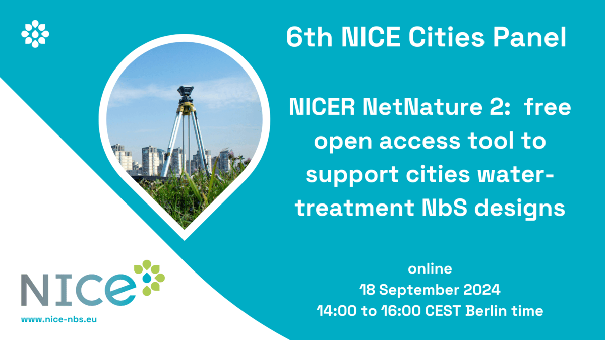6th NICE Cities Panel