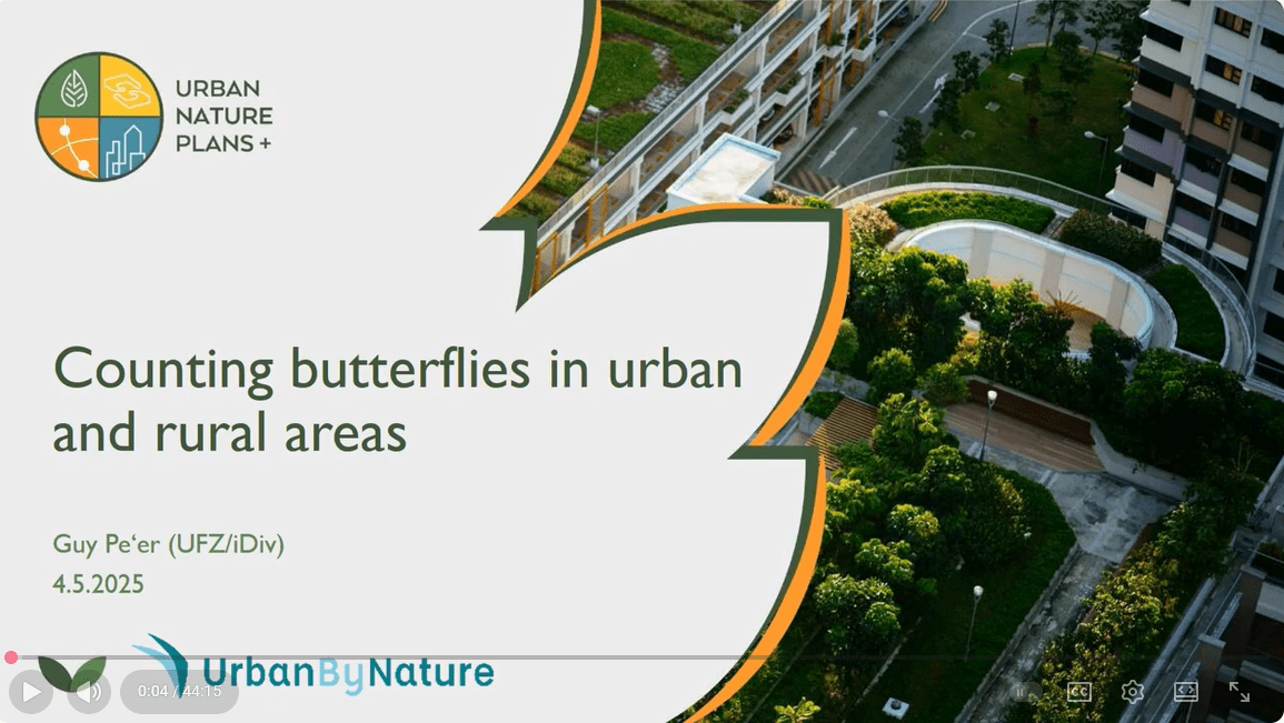 counting butterflies in urban and rural areas