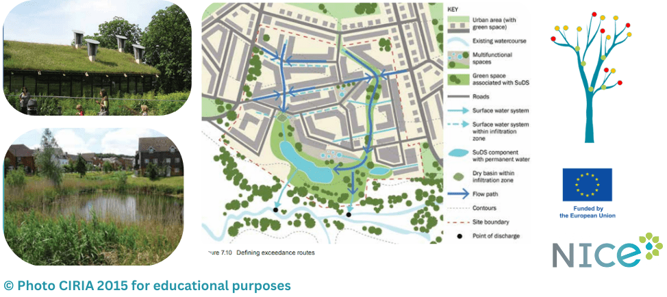 typology map