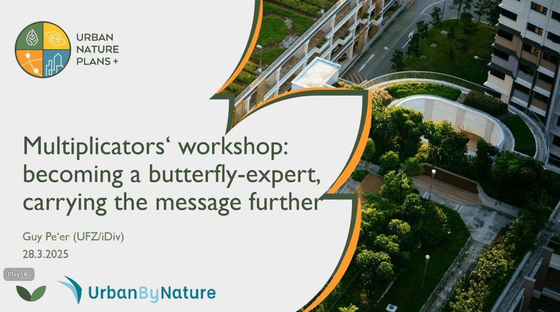 train the trainer english