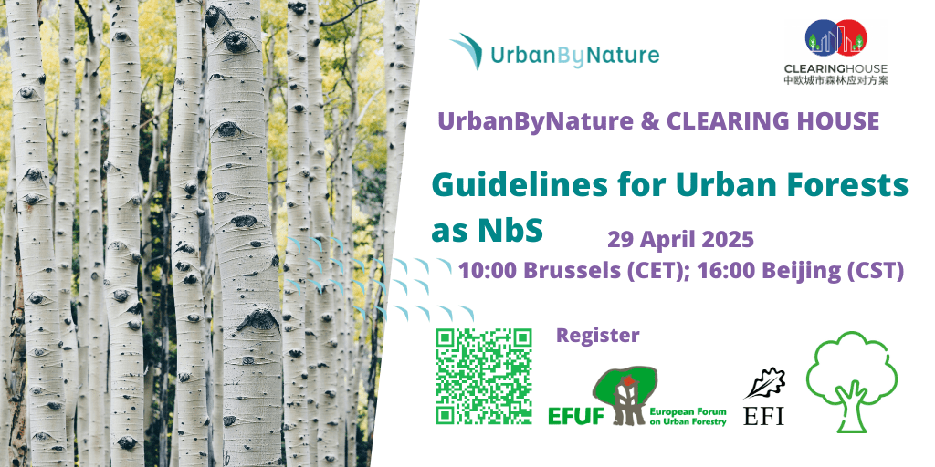 CLEARINGHOUSE Guidelines webinar advert