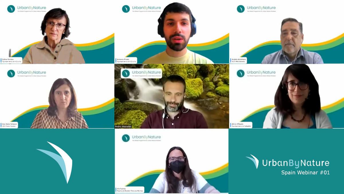 Webinar Screenshot Webinar screenshot