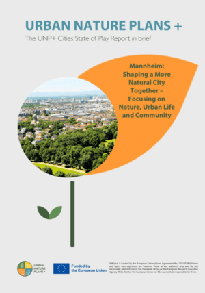 Mannheim state of play