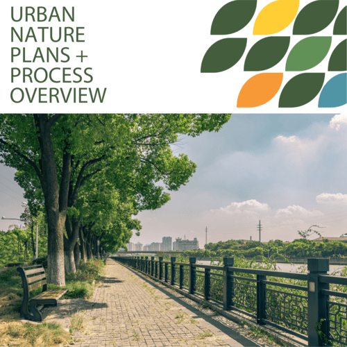 process overveiw card