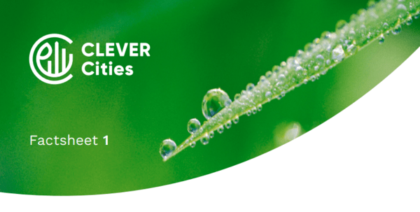 CLEVER Cities Factsheets