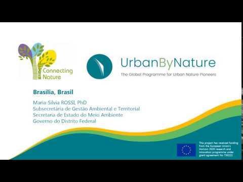 ubn brazil