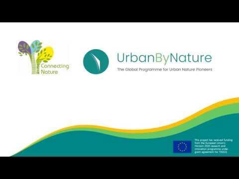ubn brazil