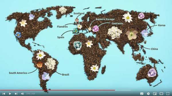 UrbanByNature Video  Map of the UrbanByNature hubs featuring the continents created out of soil and flowers blooming to represent the hubs.