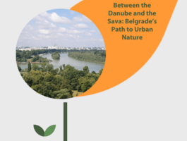 Belgrade state of play