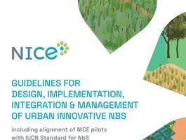 NICE Guideline NICE Guideline