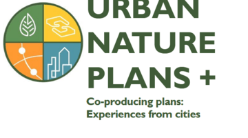 Co producing plans experiences from cities