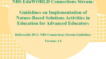 Connections Stream Guidelines 