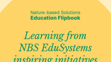 Flipbook