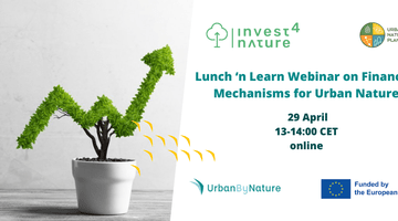 Lunch and Learn