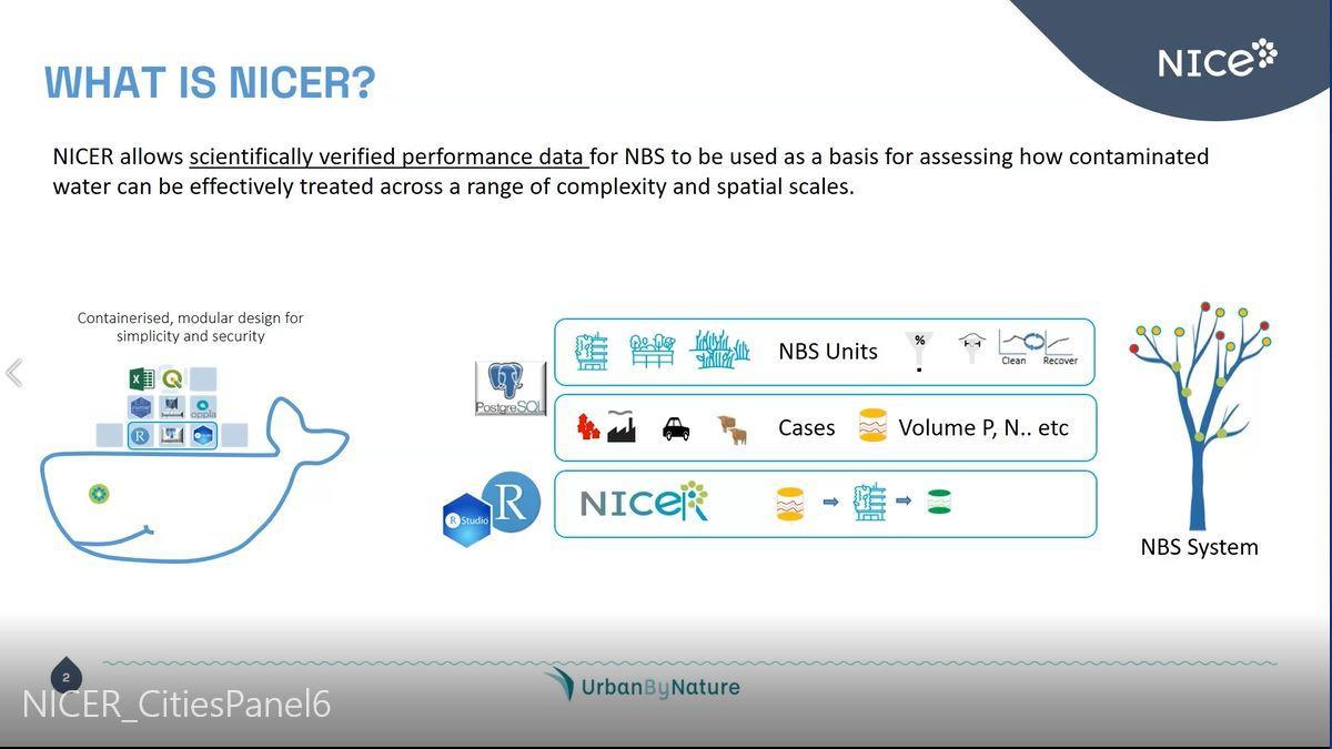 a description of what NICER does with schematics 