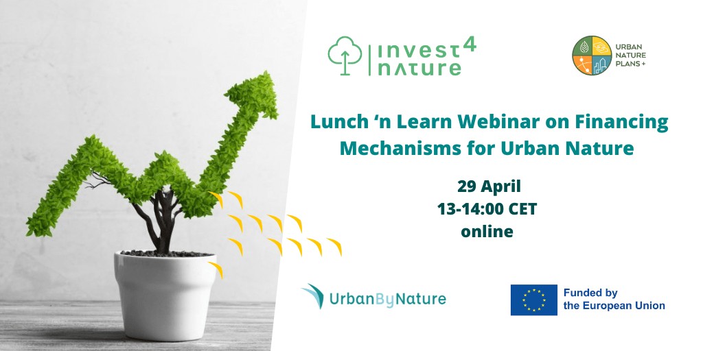 Webinar Lunch and Learn